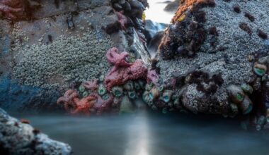 Onbekende telefoontjes van +31 70 207 12 26 zorgen voor onrust