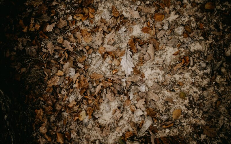 Zo houd je een pvc vloer mooi schoon met de juiste middelen