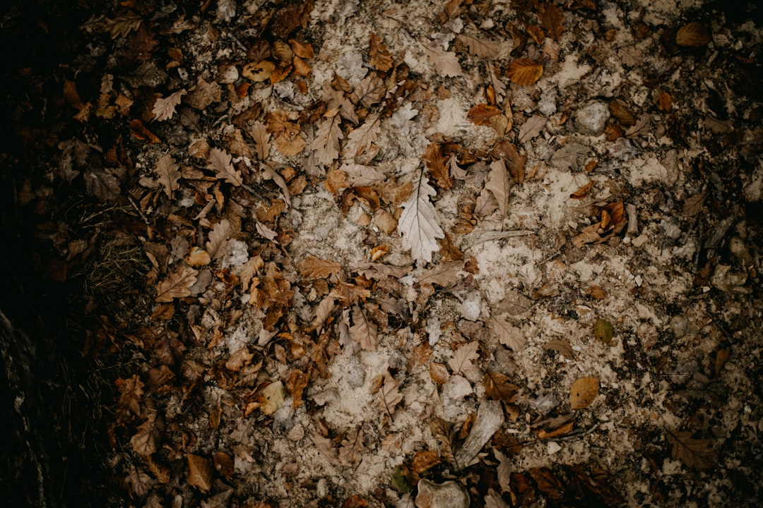 Zo houd je een pvc vloer mooi schoon met de juiste middelen